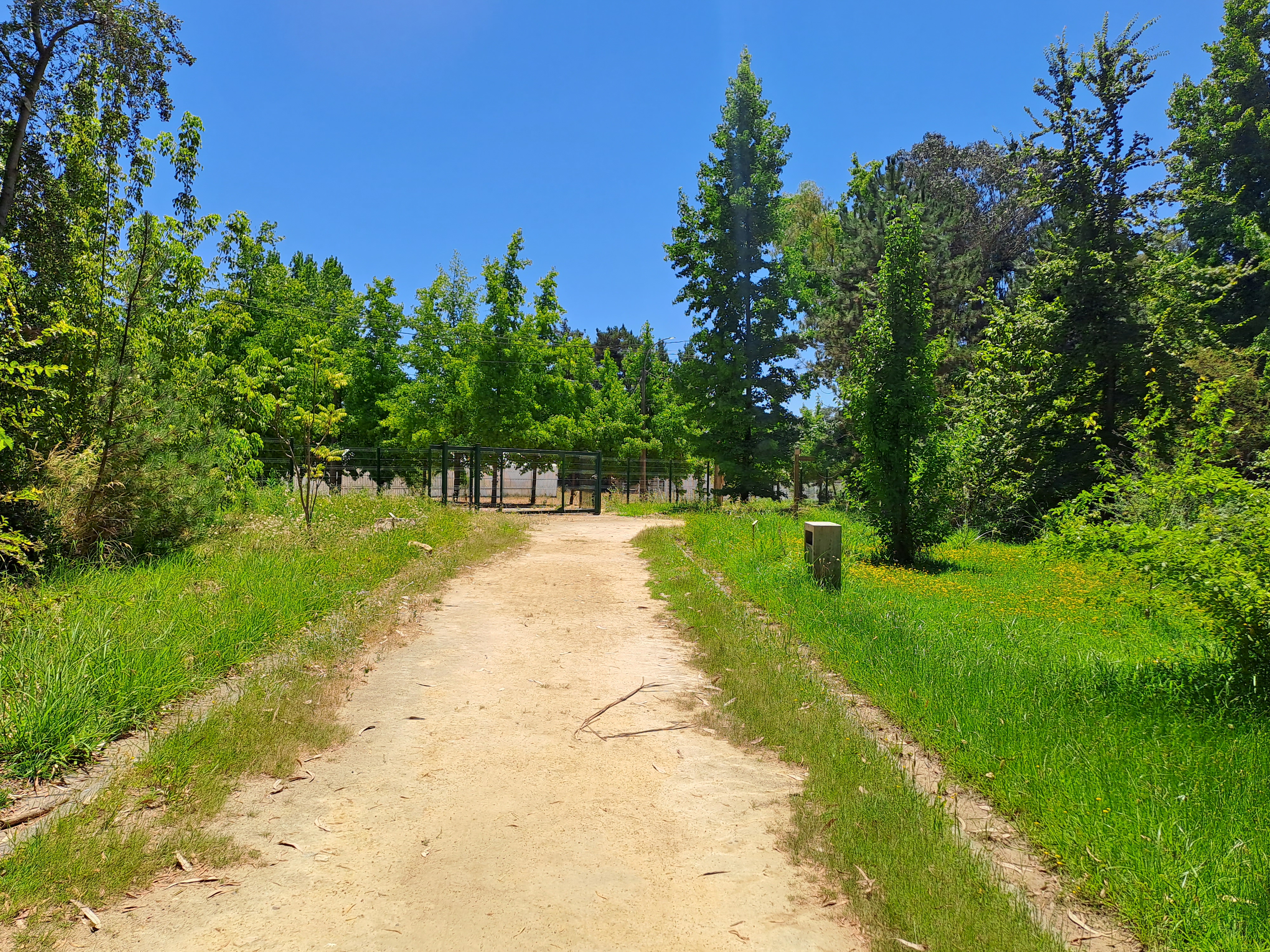 Fotografía del sendero con pasto verde